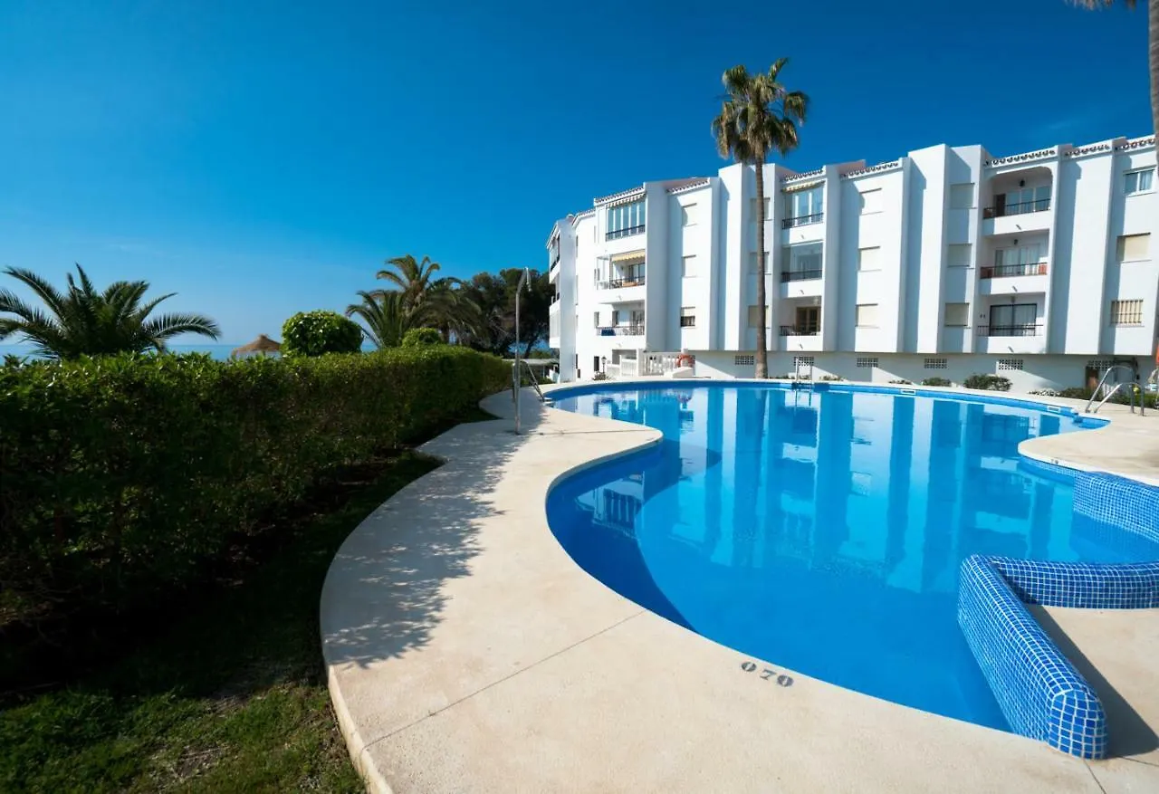 Palmeras 80 Menyber Nerja
